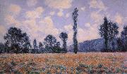 Claude Monet Field of Poppies Sweden oil painting artist